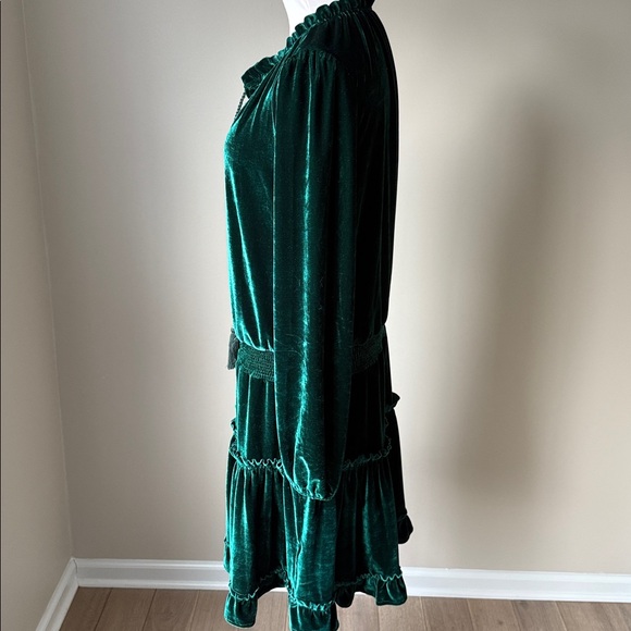 Listicle Emerald Green Velvet Dress - Picture 6 of 12